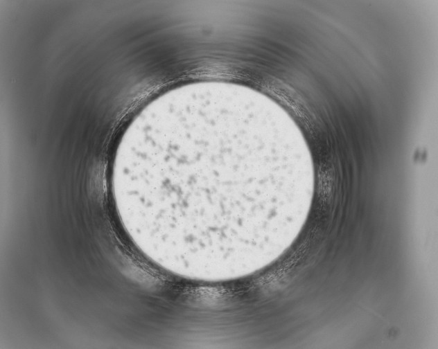 X0000094910302200712201203