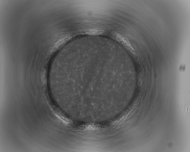 X0000094910303200712201203