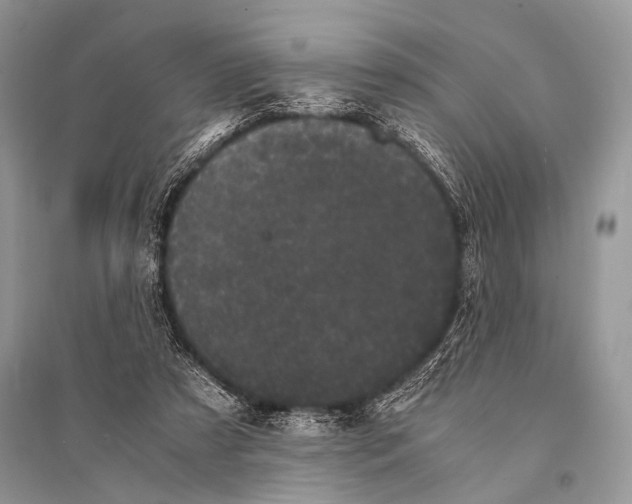 X0000094910305200712201203