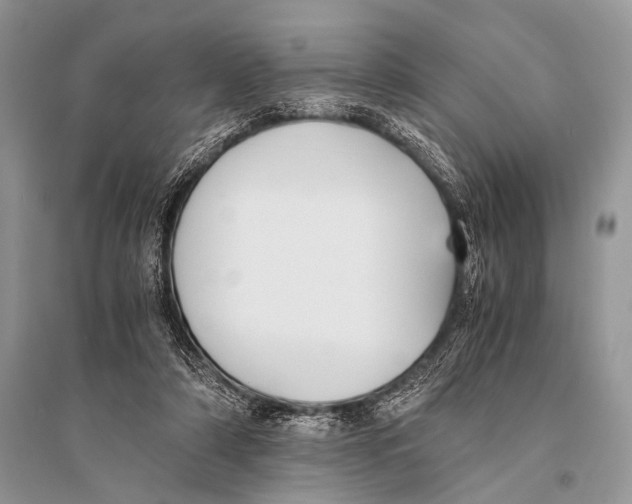 X0000094910306200712201203