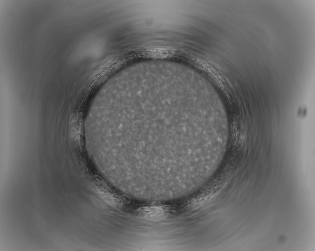 X0000094910307200712201203