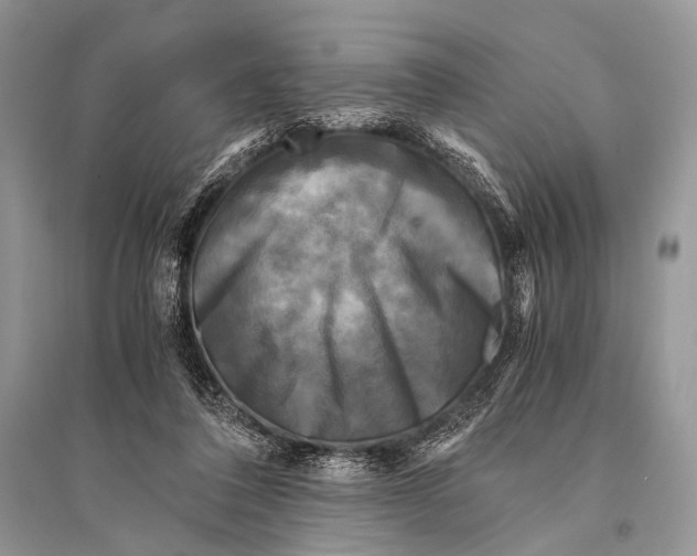 X0000094910308200712201203