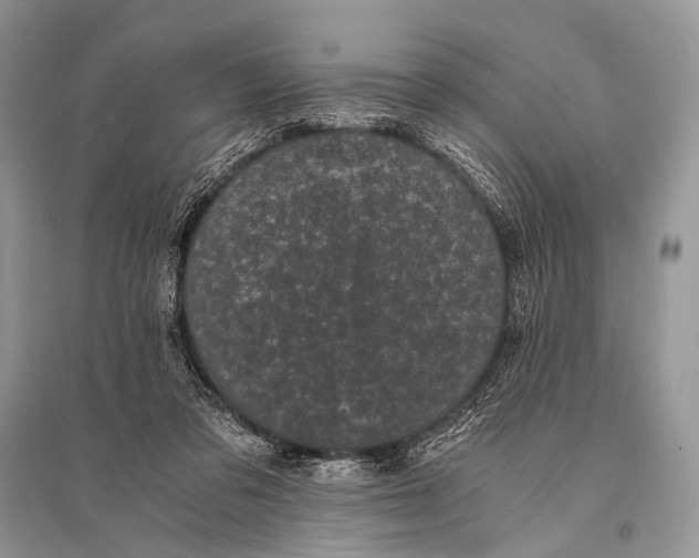 X0000094910309200712201203