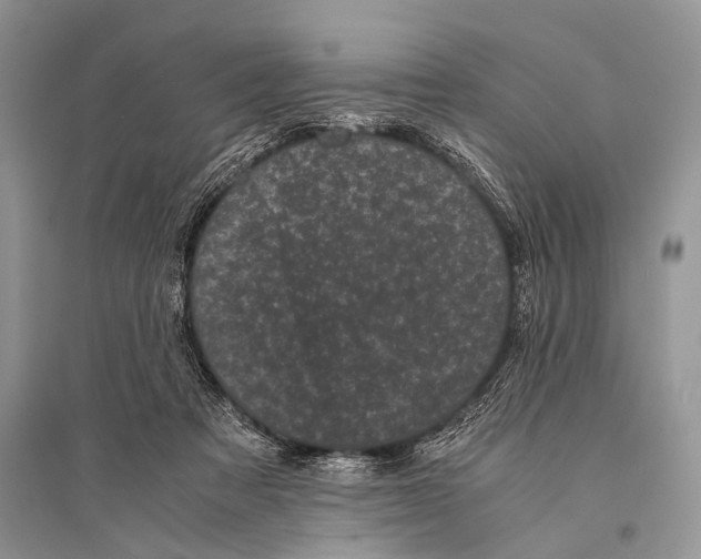 X0000094910313200712201203