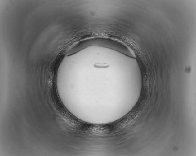 X0000094910315200712201203