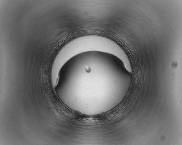 X0000094910316200712201203