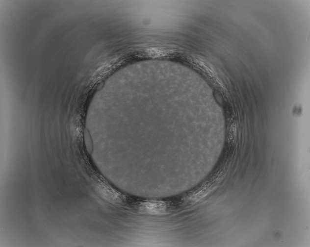 X0000094910317200712201203