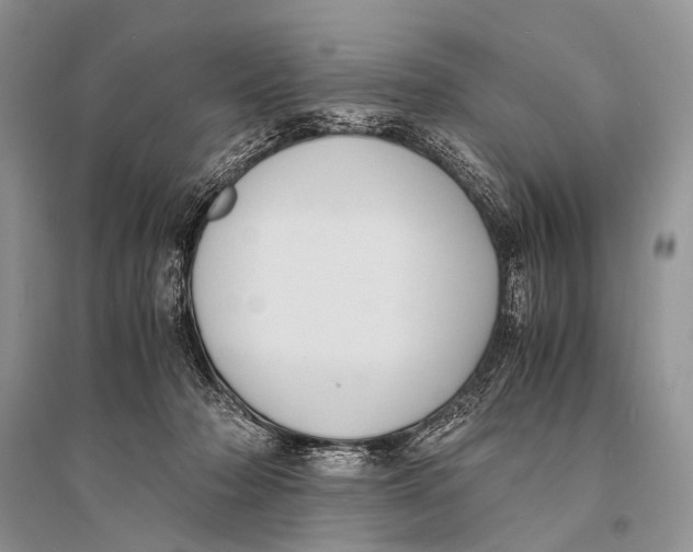 X0000094910318200712201203