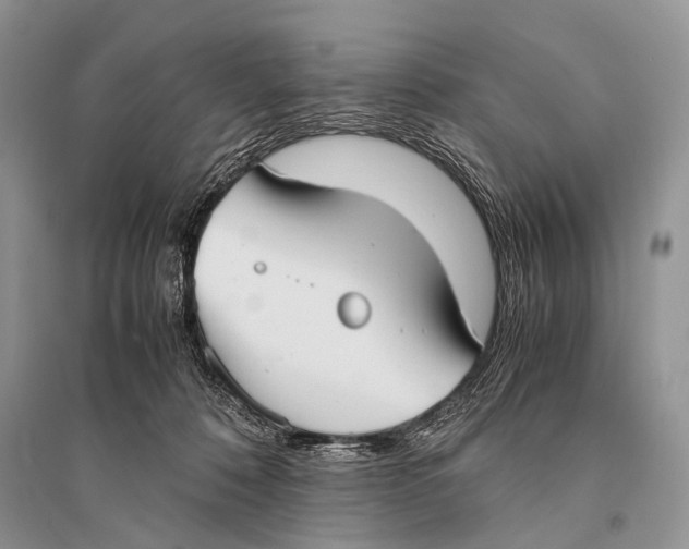 X0000094910320200712201203