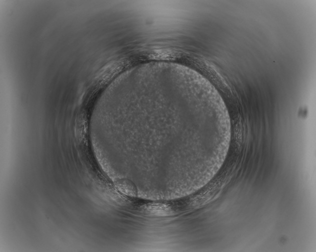 X0000094910322200712201203