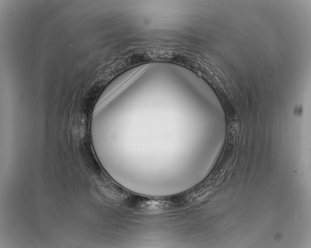 X0000094910323200712201203