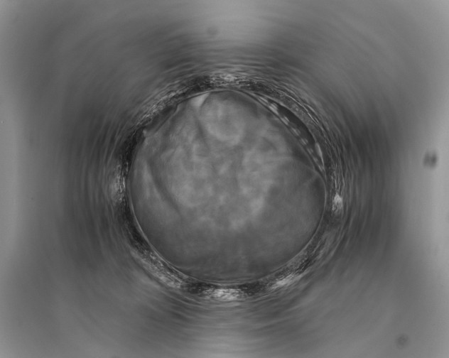 X0000094910324200712201203