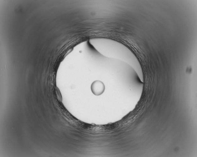 X0000094910325200712201203