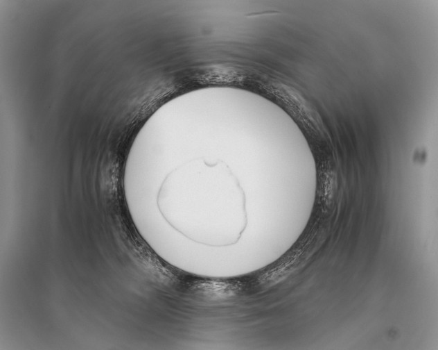 X0000094910326200712201203