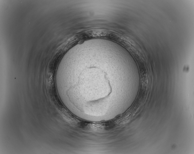 X0000094910327200712201203