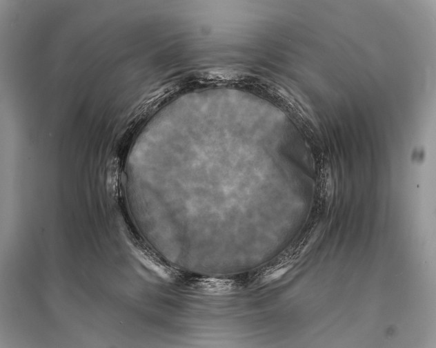 X0000094910328200712201203