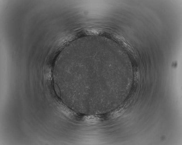 X0000094910331200712201203