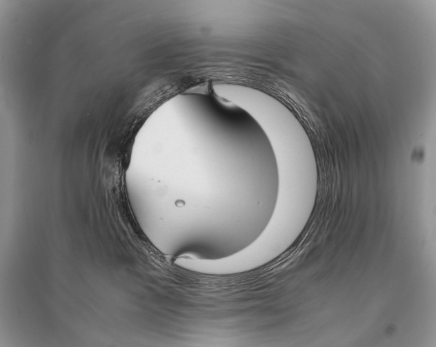 X0000094910333200712201203