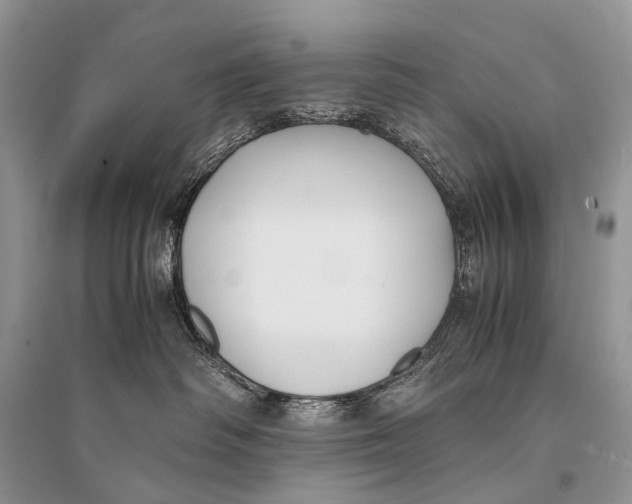 X0000094910334200712201203