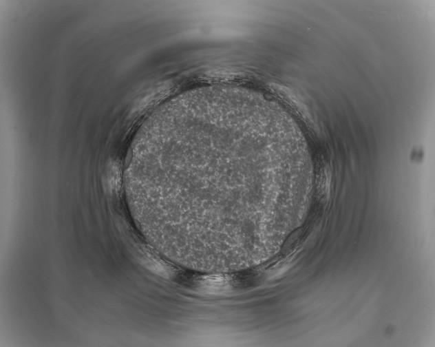 X0000094910335200712201203