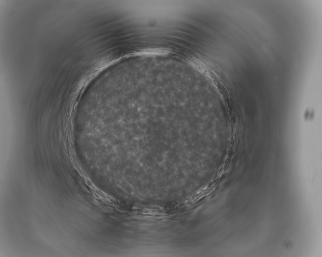 X0000094910337200712201202