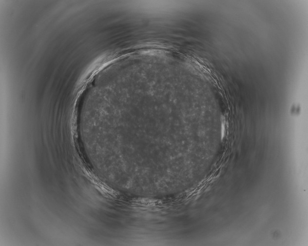 X0000094910339200712201202