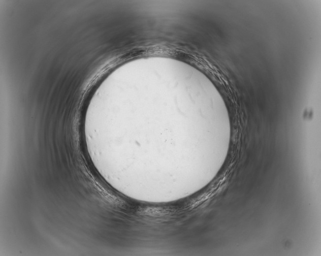 X0000094910341200712201202