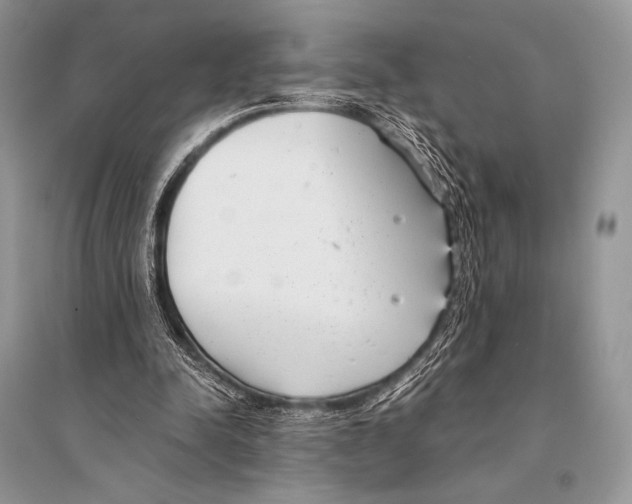 X0000094910342200712201202