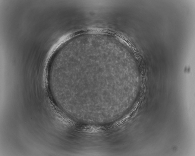 X0000094910343200712201202