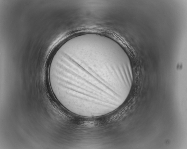 X0000094910344200712201202