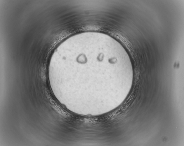 X0000094910345200712201202