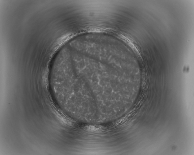 X0000094910346200712201202