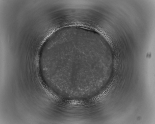 X0000094910347200712201202