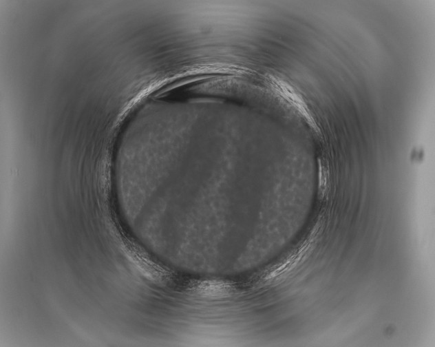 X0000094910348200712201202