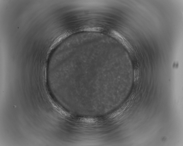 X0000094910349200712201202