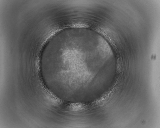 X0000094910351200712201202