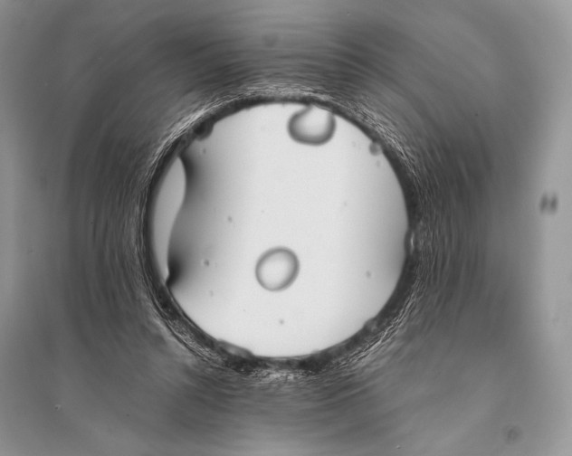 X0000094910352200712201202