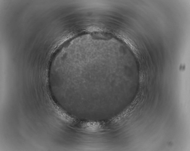 X0000094910353200712201202