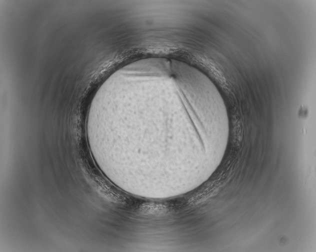 X0000094910354200712201202