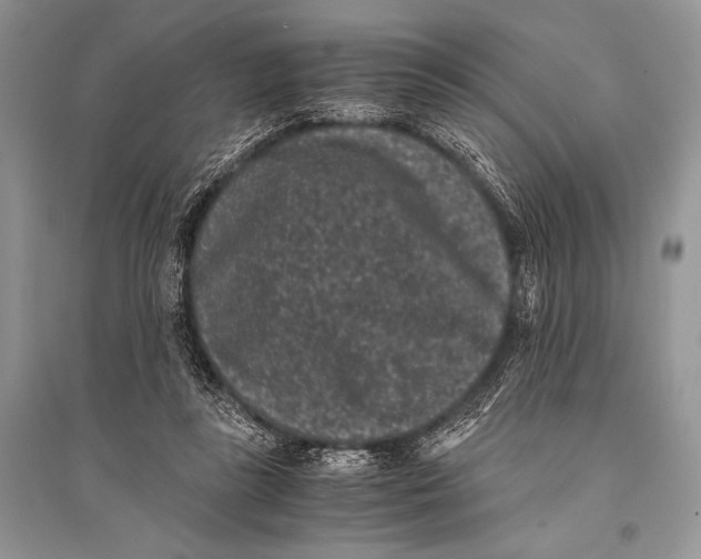 X0000094910355200712201202