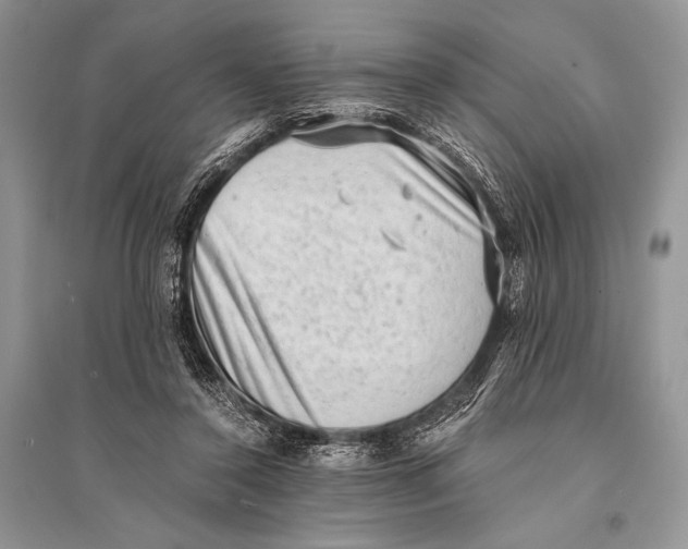 X0000094910356200712201202