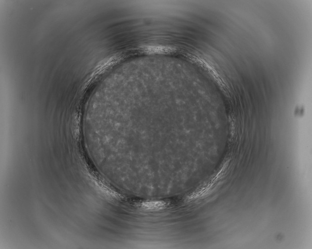 X0000094910357200712201202