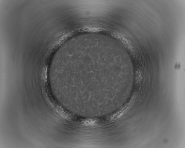 X0000094910358200712201202