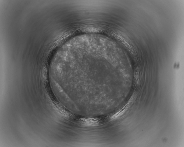 X0000094910359200712201202