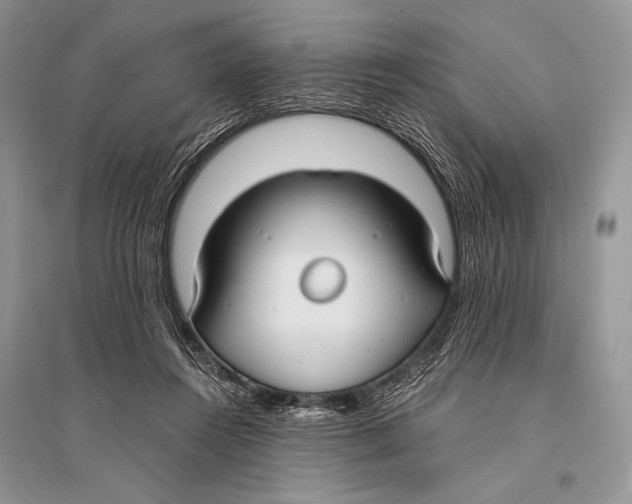 X0000094910360200712201202