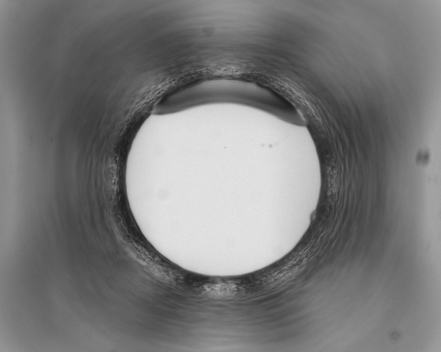 X0000094910362200712201202