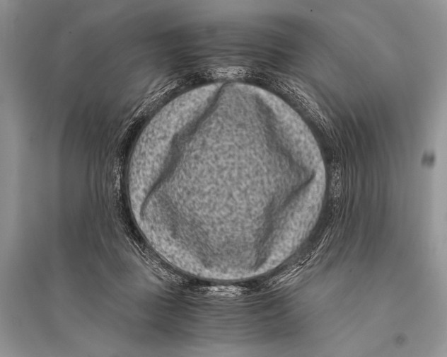 X0000094910363200712201202