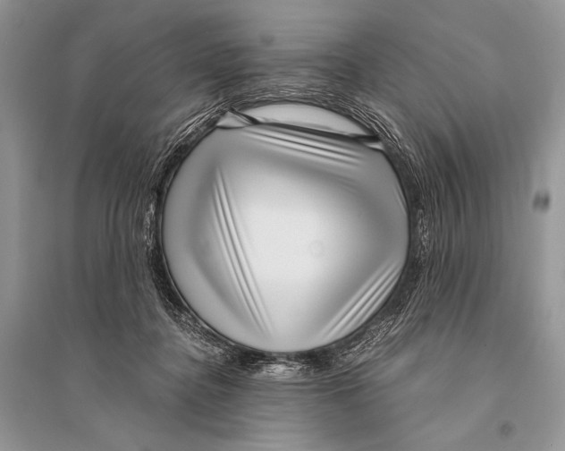 X0000094910364200712201202