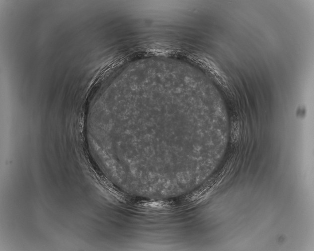 X0000094910365200712201202