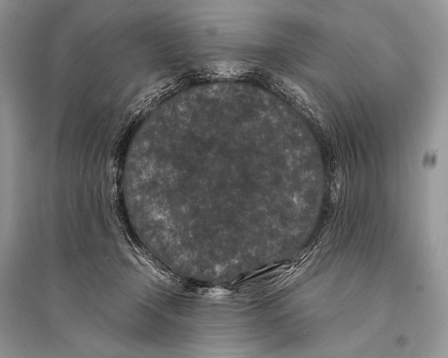 X0000094910366200712201203